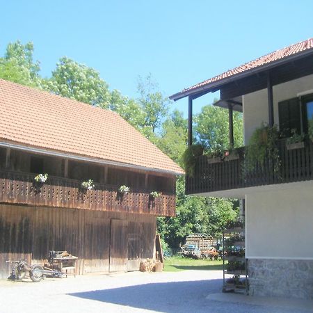 Guest House Kmetija Dane Luaran gambar